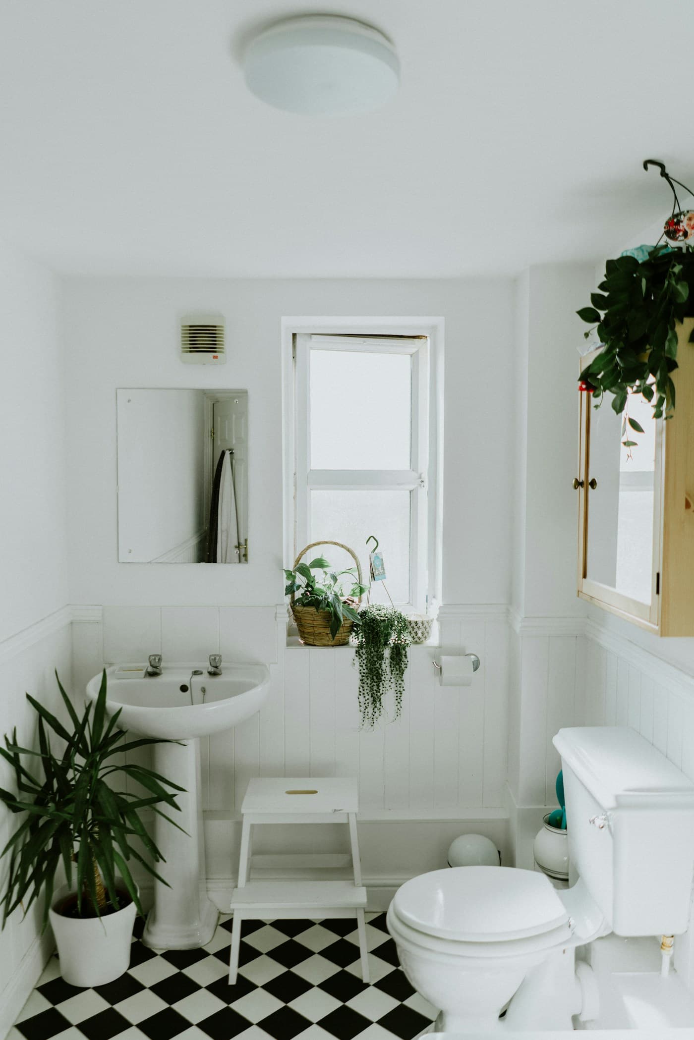 Suite Standard — photo 2